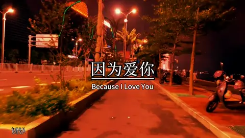 因为爱你，什么都介意，又什么都能接受，很多时候我就问自己，为什么对你这么爱，为什么这么喜欢你，每次我都答非所问，其实我也不明白，或许只想默默的在你身边，知道你的一切，就算看着，你高兴，我就快乐#情感语录 #情感共鸣 #扎心#情感 #触动心坎的那些话 