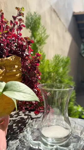 #زکریا_زەکەریا_عبداللە #kirkuk #fyppppppppppppppppppppppp #چای 