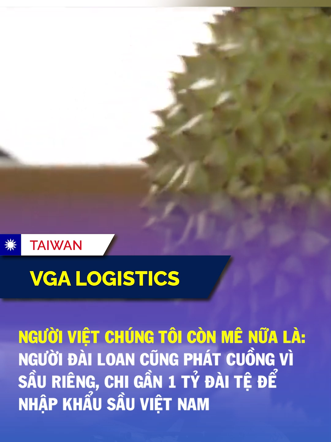 người Việt chúng tôi còn mê nữa là #vgalogistics #vgataiwan #dailoan #taiwannews #tiktokews #nguoivietodailoan #taiwan