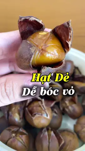Hạt dẻ tươi cơm vàng ngọt thơm bở dễ bóc vỏ #hatde #hatdetuoi #tieugiai