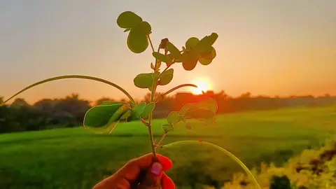 রেখেছি তোমায় এই অন্তরে.. ❤️ #foryoupage #trending #unfrezzmyaccount #trendingsong #creatorsearchinsights @TikTok Bangladesh 