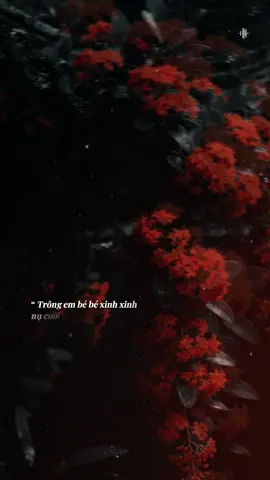 “ Trông em bé bé xinh xinh nụ cười duyên như ngàn tia nắng.. #tramnhachay_0203 #Bkmuzic  #teddyentertainment 