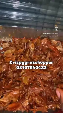 Mutanan arziki hosting an event soon? We’ve got your snacks covered! 🎉 Order our @crispygrasshopper Event Pack 💃🏻🦗😍— delicious, nutritious, and a crowd favorite for every occasion 💯🔥💃🏻🦗 : : : : : : : #crispygrasshopper #trend #fara #arewa #food #snack #kanofara #bestfara #bestfarainkano #best #goviral #grasshopper #entrepeneur #entrepreneurlife  #kano  #arewa #food #snack #appetizers #voice #hausavoiceover #voiceover #mybratha 