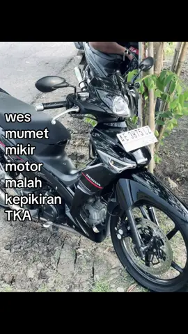 mugo ra stres nom #supravellago #fyp 