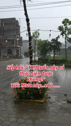 Mưa này sơn ế Sếp ạ . E là không thể! Sếp ạ#xuhuongtiktok #sonchinhhang #kova #jotun #dulux