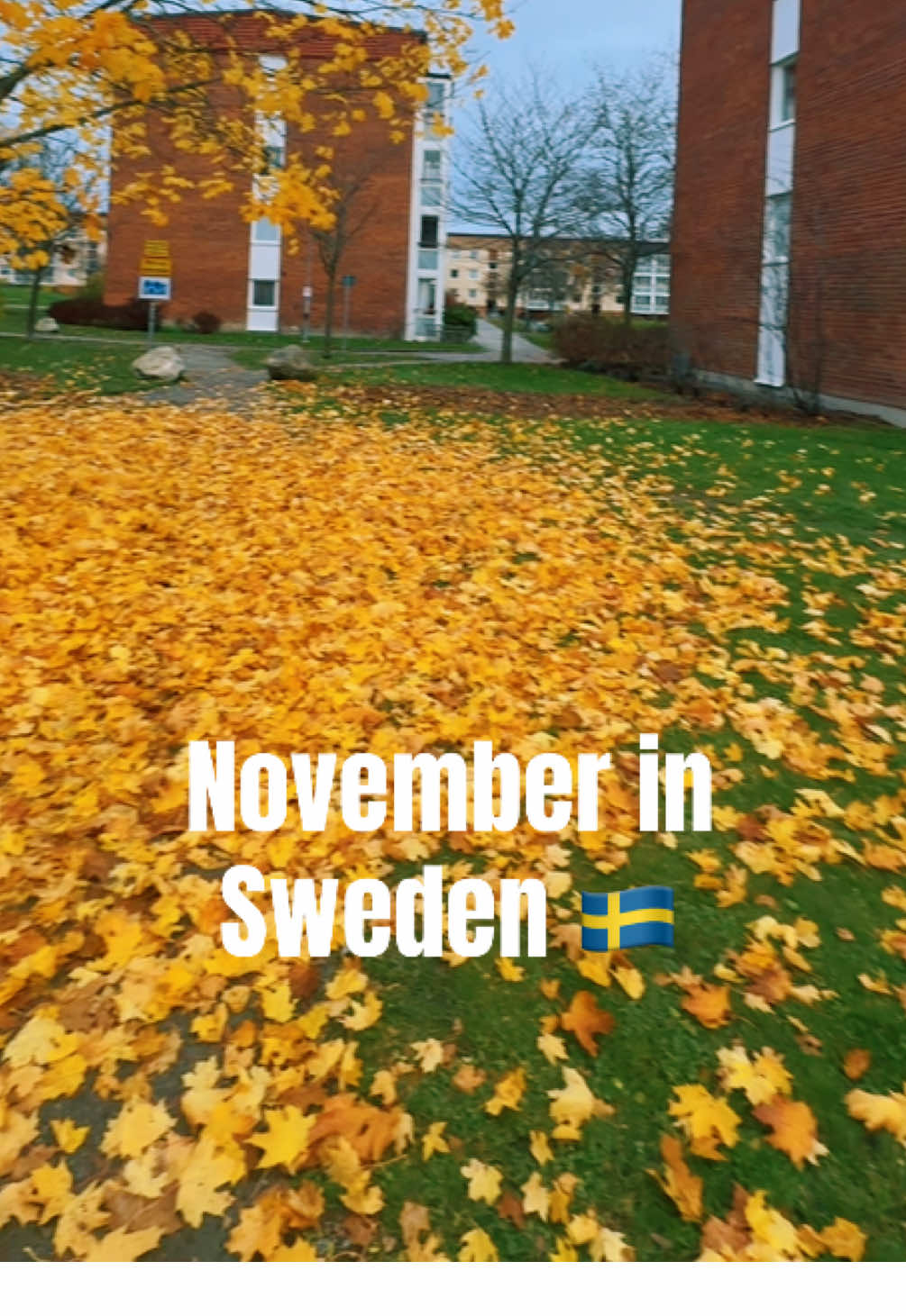 November in Sweden 🇸🇪  and it will turn into white soon….🥶 . . . . ##novembersweden##winteriscoming##stockholm