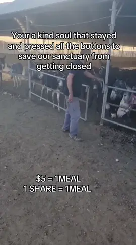 Every kind comment would mean a world to me #donkeys #animalsoftiktok #shelter #donkeylove #donkeyrescue 