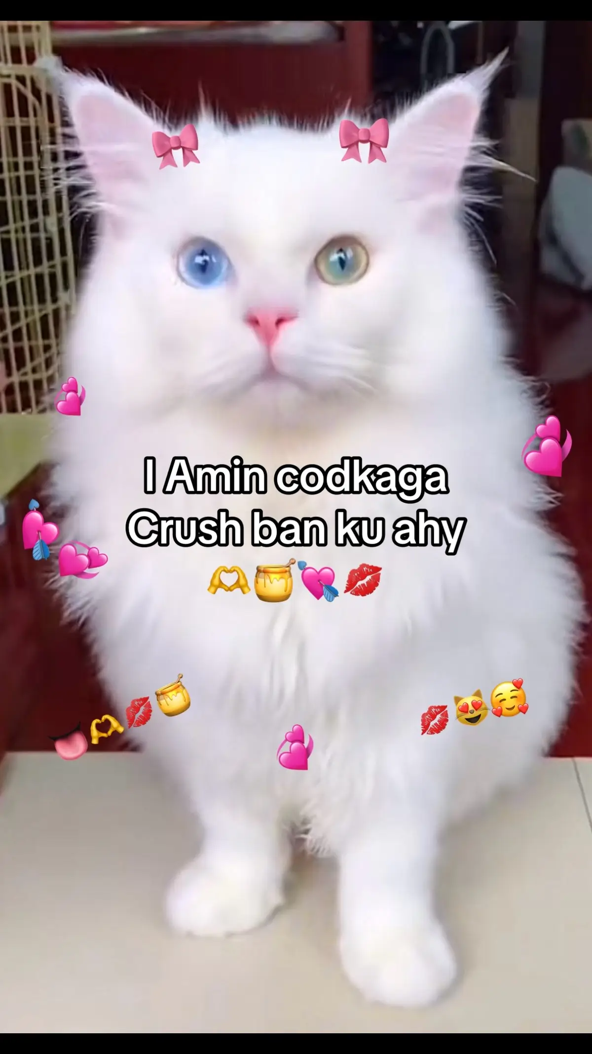 🫶Codkaga soqimey 🤤🫦 Soboqa😂🤤