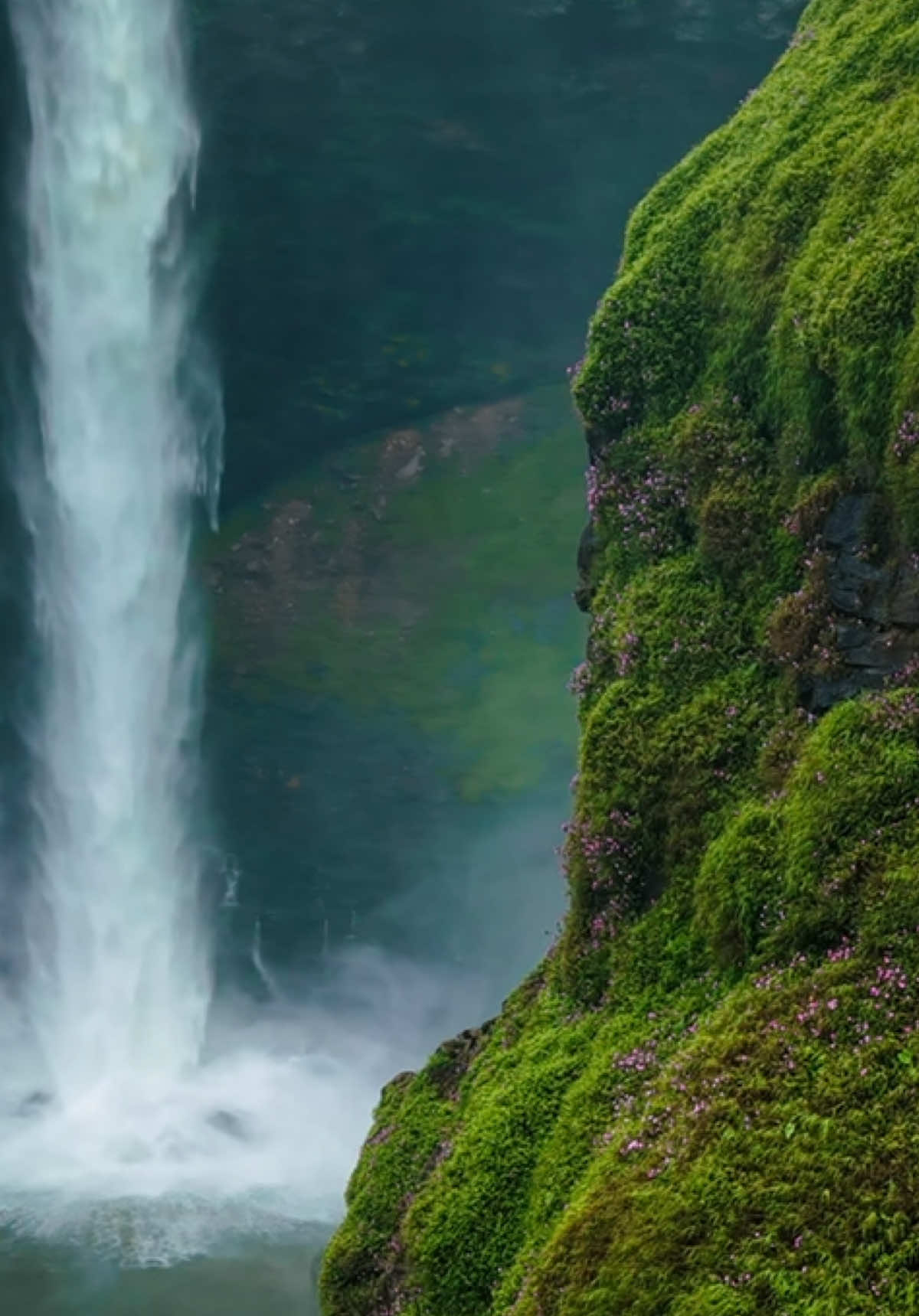 สวยเหมือนหลุดมาจากนิยาย #เชกะตาม #sekatam #tiktokพาเที่ยว #bolaven #ลาวใต้ 