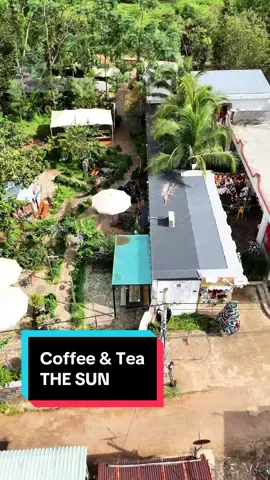 Đi đây đi đó #xuhuongtiktok #chill #coffee 