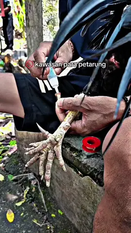 #pamaiq #bangkokclasik #phanat #bangkoksuper