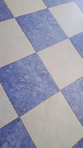 #مطلقة #Fyb #fyrou #ابوني_ياك_باطل_ولا_حنا_مانستاهلوش 