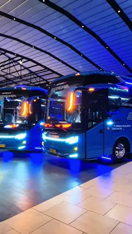 💙💙#abltranspariwisata #fypシ゚viral #buspariwisatapku #laksanasr3 