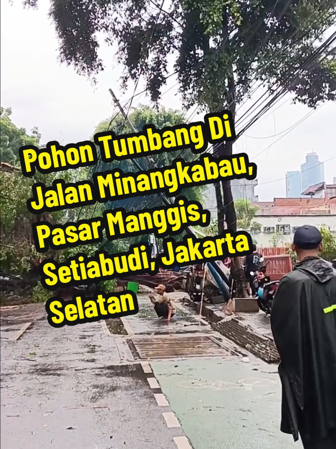 Senin siang, 3 November 2025, dilaporkan terjadi pohon tumbang akibat hujan deras di Jalan Minangkabau, Pasar Manggis, Setiabudi, Jakarta Selatan. Tepatnya di depan SPBU BP. Mohon berhati-hati. #pasarmanggis #setiabudi #jakartaselatan  ----- Ikuti akun kami untuk update informasi terkini Jakarta dan sekitarnya ----- 📹 : ig via iwan_kuswara