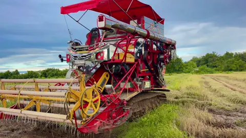 #จ้าวช้างไวไฟ🐘🐘 #ขวัญใจครูใหม่รถเกี่ยว🌾🌽 #รถเกี่ยวเพชรบูรณ์ 