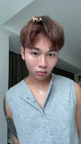 black cat orange cat