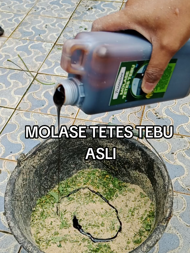 CARA MENAMBAH NAFSU MAKAN PADA AYAM
