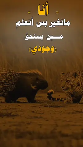 #عباراتكم_الفخمه📿📌 #اكسبلورexplore #unfrezzmyaccount 