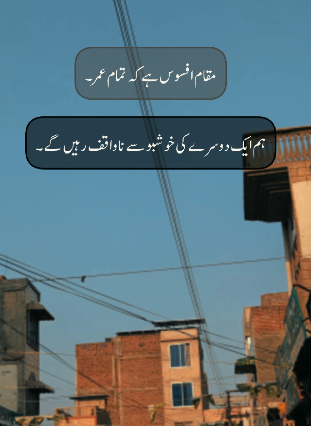 مقام افسوس ہے کہ تمام عمر ۔ ہم ایک دوسرے کی خوشبو سے ناواقف رہیں گے #lost_Uzi8035 #foryoupage #foryoupage #plzunfrezemyaccount #plzdontunderviewsmyvedios 