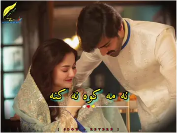 Na Ma Kawa Na Kana #pashtotappy #viralvideo #slowed #reverb #song 