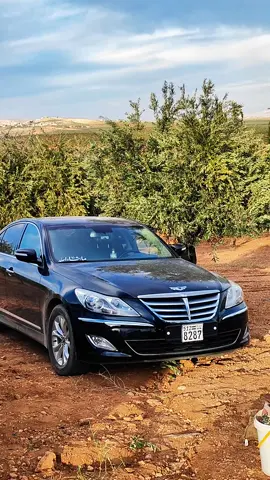 شموسة 😂🥇 #ابو_صطيف❤️‍🔥 #جينسس #سوريا_تركيا_العراق_السعودية_الكويت_عمان #نمساء_المانيا_سويد_سوسرا_كندا_اروبا #fyp 