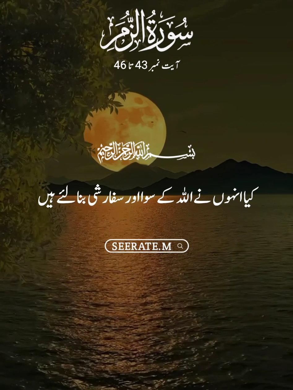 Quran kareem with translation 😍  surat zumur ayat no 43 to 46 #quran #hadees #islam #seerate_m #viral 