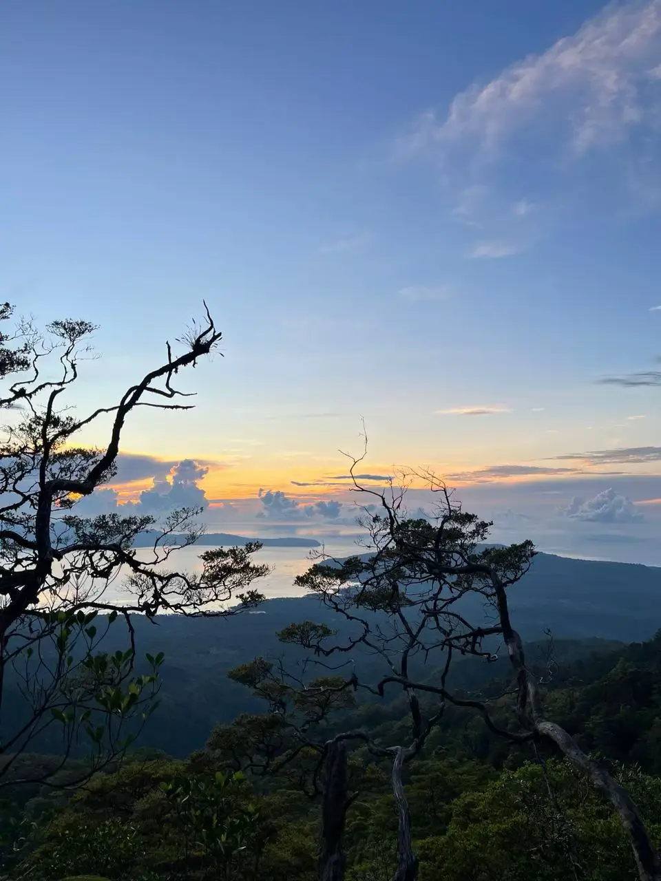 “Jika kamu benar - benar mencintai alam, kamu akan menemukan keindahan itu di mana - mana, dan salahutu adalah salah satu bentuk keindahan yang paling nyata, yang bisa kamu temukan keindahannya di mana - mana. #gunungsalahutu #keindahanalam #fyppppppppppppppppppppppp 