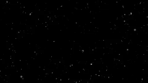 شفته بعيني يمشي على الورود وداااس😔! 