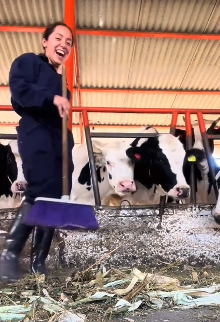 Funny cow #cow #cowsoftiktok #funnyvideo #fyp#foryou 