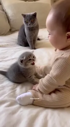 🐾 What are these two up to this time? 👶🐶#baby #cute #funny #fyp 