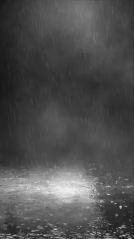 Matchweek 4 UCL #uefachampionsleague #football #fypage #fyppp #fypシ゚ 