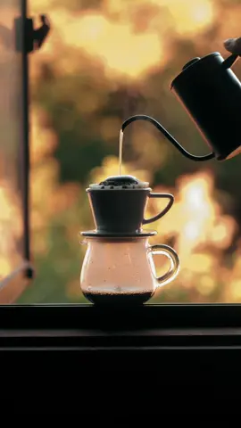 窓辺に差し込む やわらかな陽射しが心地よくて エルサルバドル🇸🇻のコクと香りが広がる 穏やかな、良き休日 焙煎したてをお届けしています プロフィールのリンクからどうぞ #コーヒーのある暮らし #自家焙煎珈琲 #おうちカフェ #coffee 