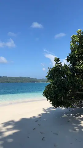 Kuy liburan open trip ke PULAU PEUCANG UJUNG KULON..  Setiap weekend dan weekday berangkat Meeting point jakarta tangerang serang pandeglang & Dermaga sumur (legon guru)  Cek profil WA 082246260094 IG: visit_ujungkulon #pulaupeucang #ujungkulon #pandeglang #banten #opentrippulaupeucang       