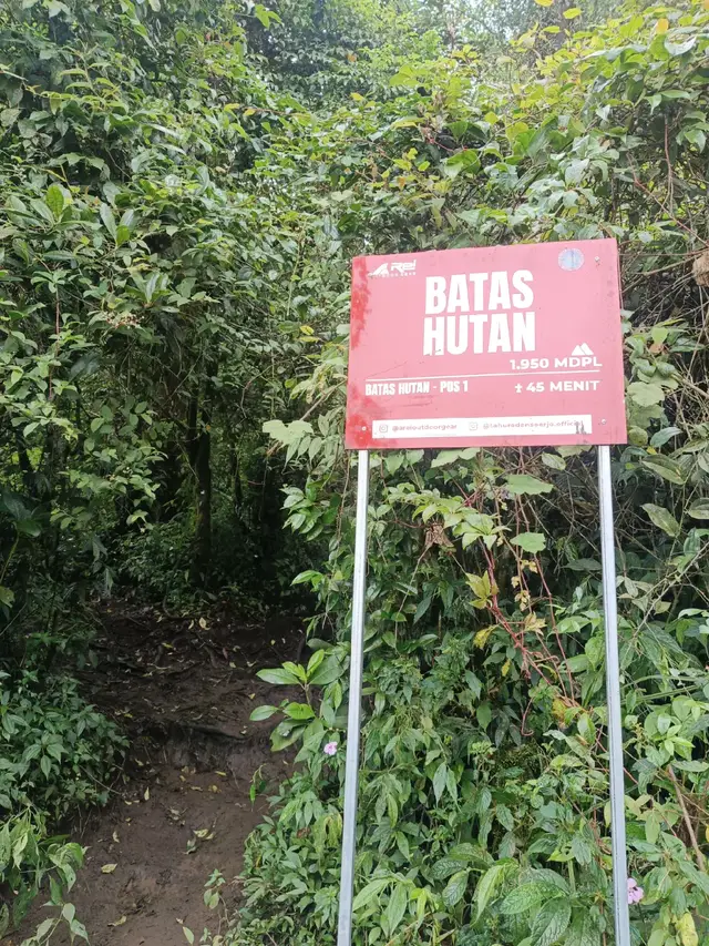 #mauntain #lautanawan #arjunowelirang #arjuno3339mdpl #fypage 