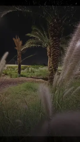 لم تقدملي شي...لما تضحيلي  اعرف انه انا شاغل همك  اعرف انه انا موجود في ذهنك  #ناصر_الوبير #الشاشه_السوداء🌿🖤 #تصميم_فيديوهات🎶🎤🎬تصيمي🔥 #مجرد________ذووووووق🎶🎵💞 #تصويري_احترافي_الاجواء👌🏻🕊😴 