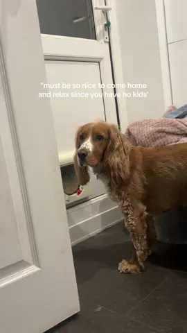 he’s a good boy really  #fyp 