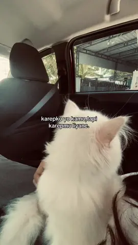 #fyp #fypage #promomakanharian #foryou 