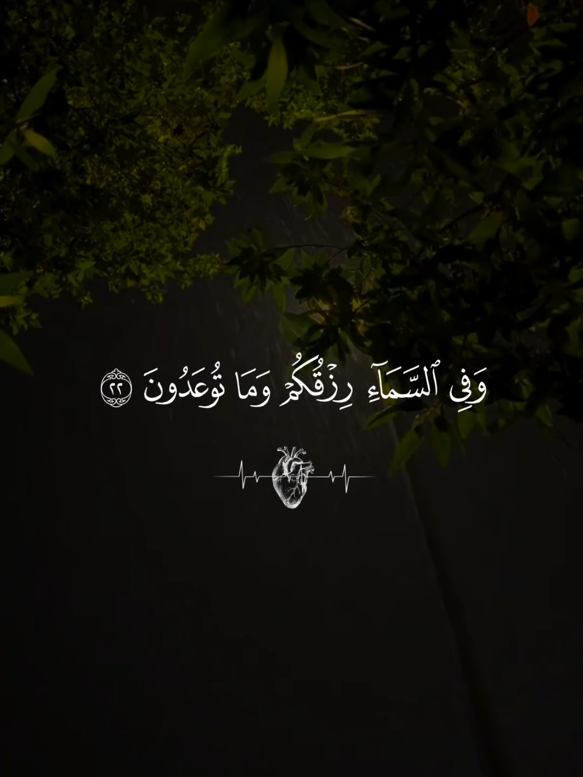 تلاوة خاشعة 🤍 وفي السمآء رزقكم وما توعدون... الاقرئ ماهر المعيقلي من سورة الذاريات 🤍🌿#quran #alhamdulillah #قران #قران_كريم #islamic_video 