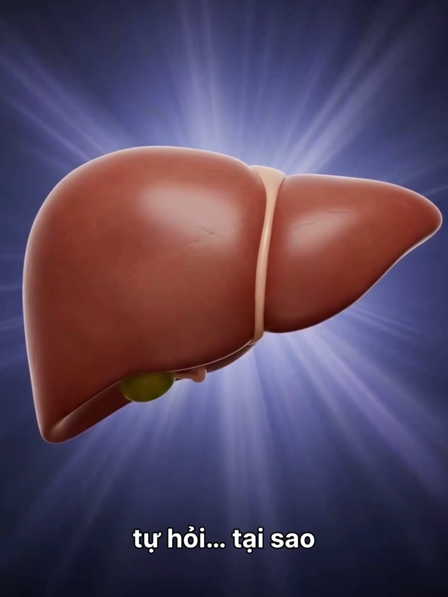 Tại sao Gan lại bị nhiễm mỡ? #bacsionline #suckhoe #LearnOnTikTok #hetik