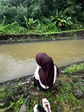 gas inpo mancing 🤣#masukberanda #fyppppppppppppppppppppppp #pekalongan24jam #mancing 