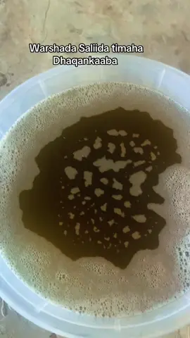 Saliida timaha dhaqankaaba tukaamada shoobinka ayaad kahelaysaa #dhaqankaaba1 #somalitiktok #viral #fyp 