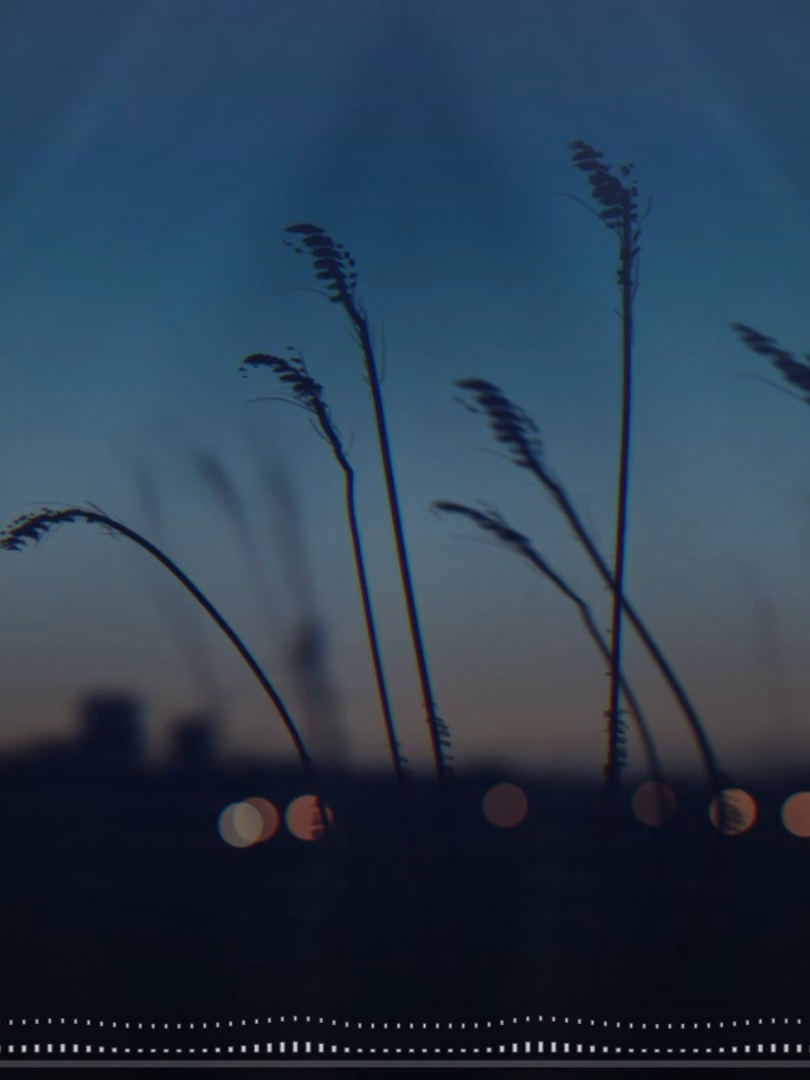 Siakol - Akala Ko'y Langit (Rock Cover Teaser Video) “Akala Ko'y Langit” Rock Cover Out Now A song about love that felt like heaven, only to turn into heartbreak and disappointment. When someone becomes your paradise… then suddenly your biggest pain. I gave this Siakol classic a rock twist to amplify every emotion, regret, and memory left behind. If you ever thought you found forever but ended up broken, this one’s for you. And as I post this, we just reached 20,000 followers! Thank you for all the support, more covers coming your way soon! #AkalaKoyLangit #Siakol #RockCover #OPMRock #PinoyRock #EmotionalRock #RockVersion #CoverSong #MusicCover #YumJournal #FilipinoMusic #ClassicOPM #HeartbreakSongs #PinoyMusic #20kFollowers #ThankYou  Also, don’t forget to follow, like, and subscribe 🙏 Check out for more covers on my YouTube Channel 👉 https://www.youtube.com/@undeadzj23 If you enjoy my covers, you can support me by donating any amount through Gcash. Every bit helps me keep creating more music for you! Gcash: 09158249004