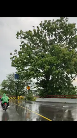 #berandatiktok #berandafyp #fyppppppppppppppppppppppp #tegal #margasari 