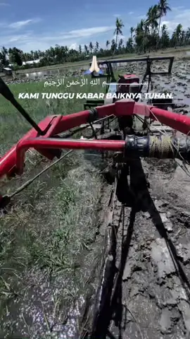 Teapsemagat Bismmillahhhh 🥵😆🌾🌾#froyou #DidYouKnow #semangatberjuang 