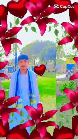 #tikverse foryou#account #foryoupage TikVerse#TikVerse #TikVerseMyRozgar # 