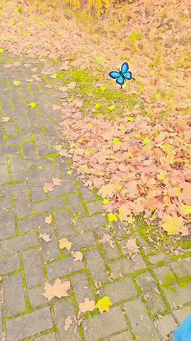 #صباح_الخير 