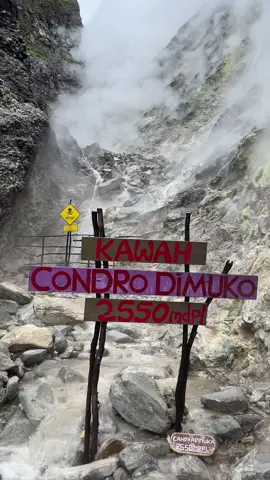 lawu eksotis dari segala sisi😍 #kawahcandradimuka #kawahlawu #lawumountain #cemorokandang #fyp 