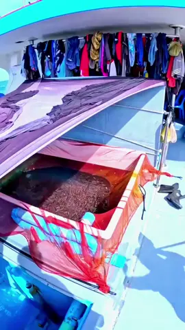 السلام عليكم الوائ  ####ليبيا🇱🇾 #ليبيا_طرابلس_مصر_تونس_المغرب_الخليج لي يتكلم على موقف