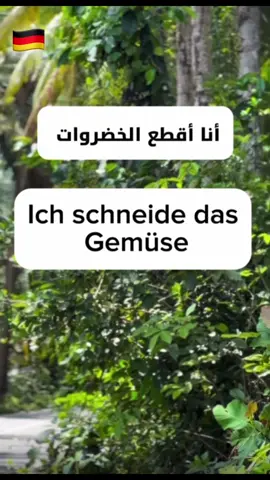 #deutschstart #germany🇩🇪 #germany #deutschlernen🇩🇪 #lernendeutsch🇩🇪 #sprachenlernen #deutschonlinelernen #الألمانية_كلغة_أجنبية #الألمانية_للجميع #تعلم_الألماني_بسهولة #تعلم_على_التيك_توك 