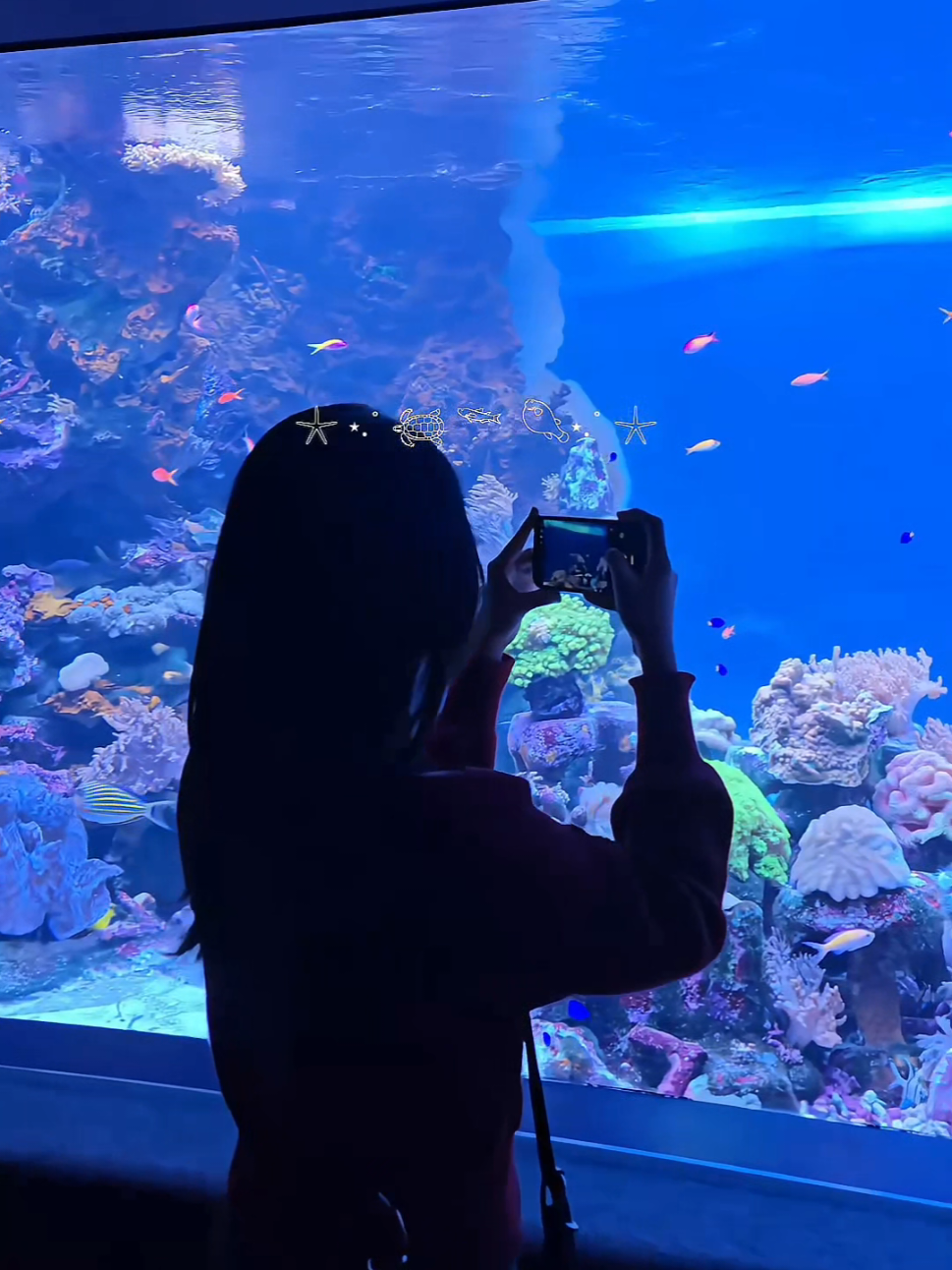 Aquarium date🪸🪼#sunshineaquarium #ikebukuro #tokyo #date 